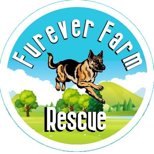 forever-farm-logo